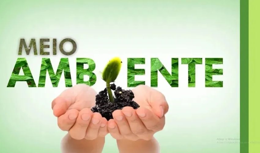  TV Gazeta: veja a íntegra do Meio Ambiente deste sábado – 20/12