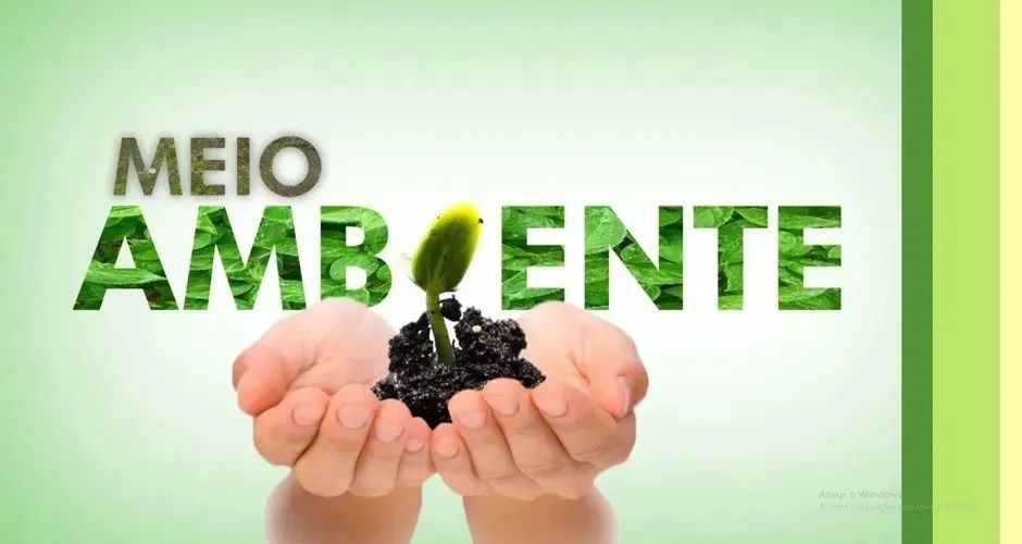 wp header logo 15.png