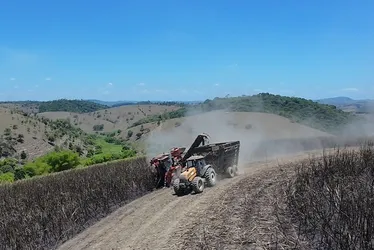 wp header logo 8.png